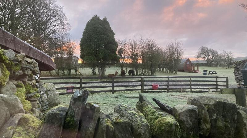 Llwyn Onn Guest House image