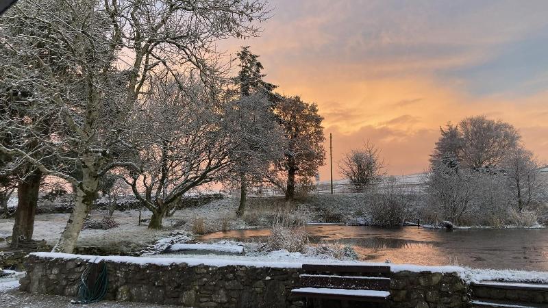 Llwyn Onn Guest House image