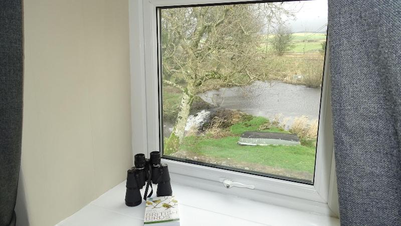 Llwyn Onn Guest House image