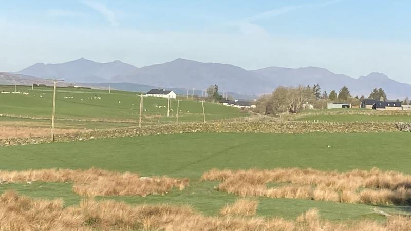 Llwyn Onn Guest House image