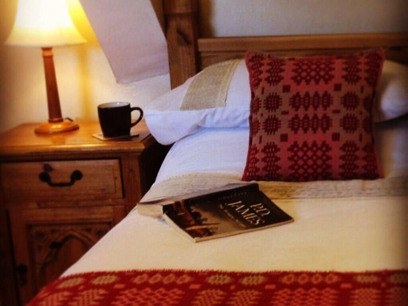 Llwyn Onn Guest House image