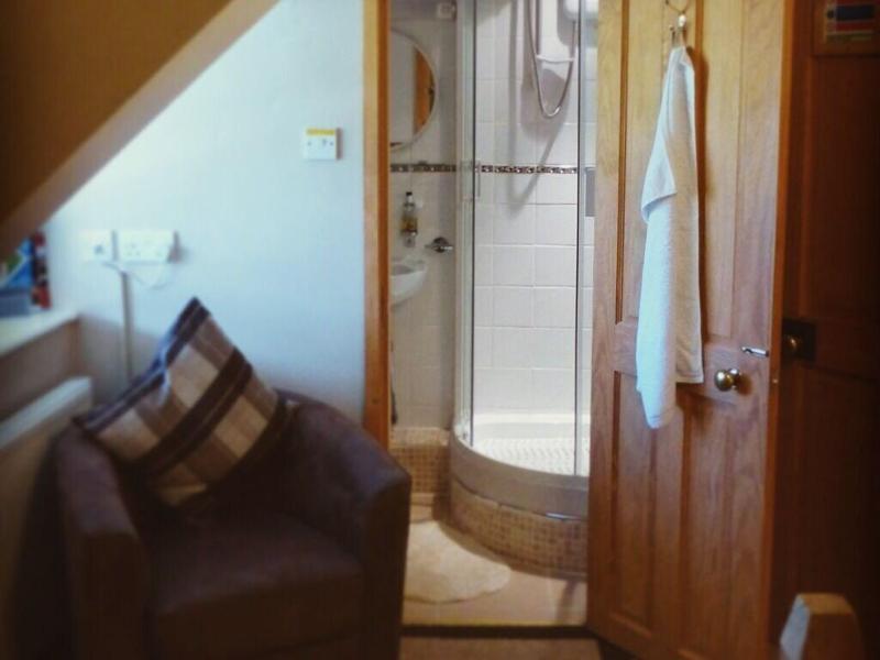 Llwyn Onn Guest House image