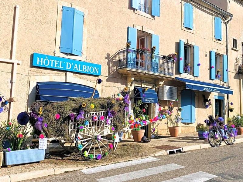 Hôtel Albion image
