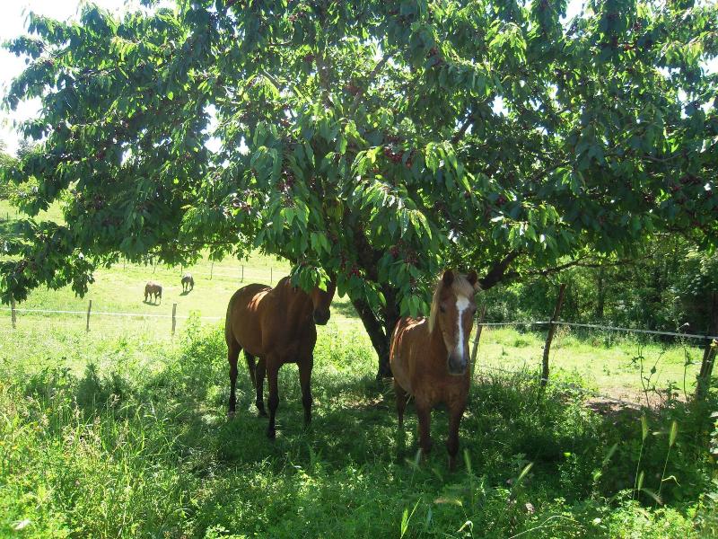 Domaine de L'estuaire image