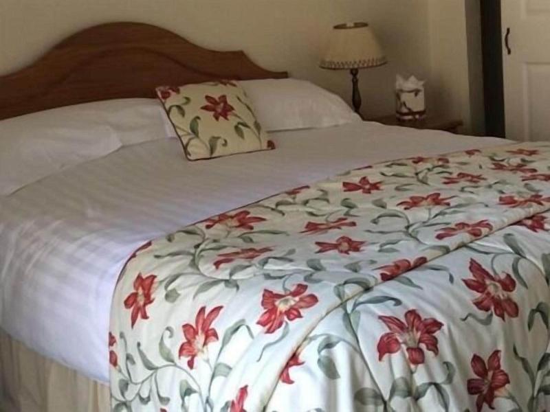 Whashton Springs Farmhouse B&B image