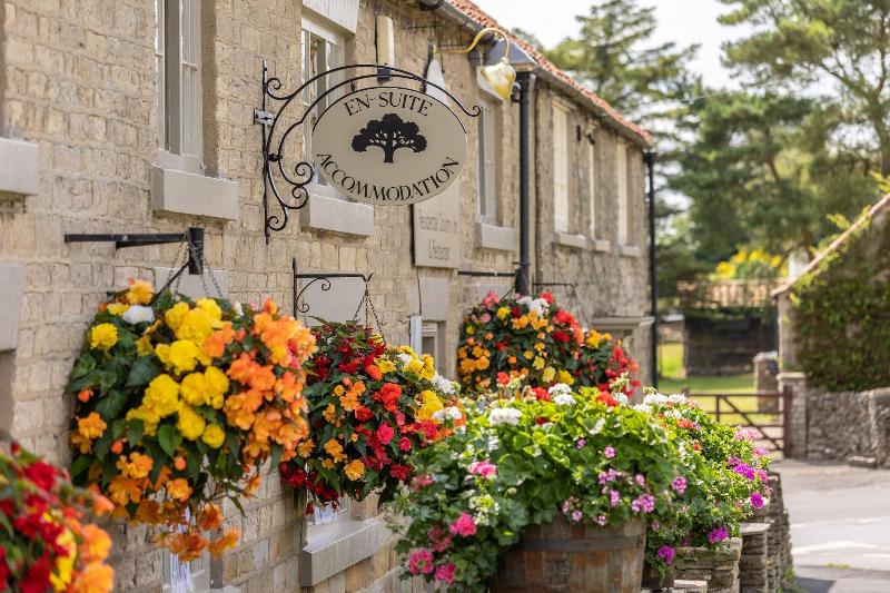 The Royal Oak Inn image