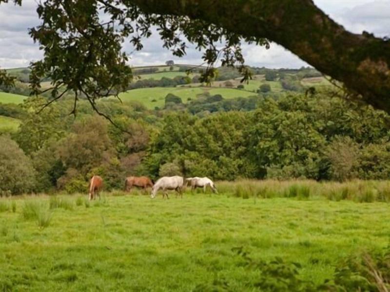 Fernside Cottage image