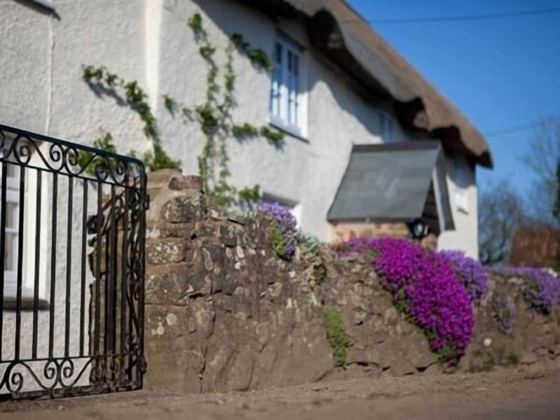 Fernside Cottage image