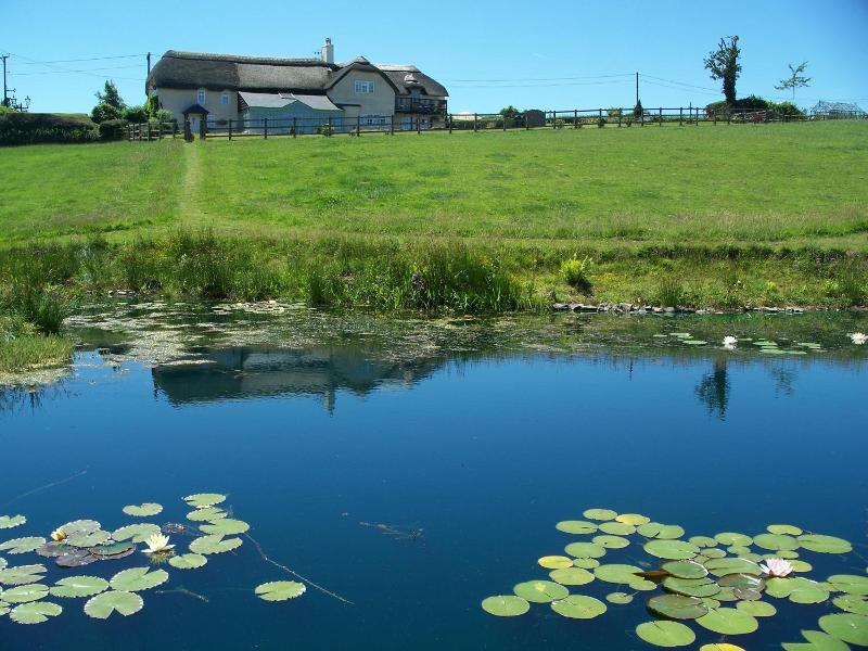 Fernside Cottage image