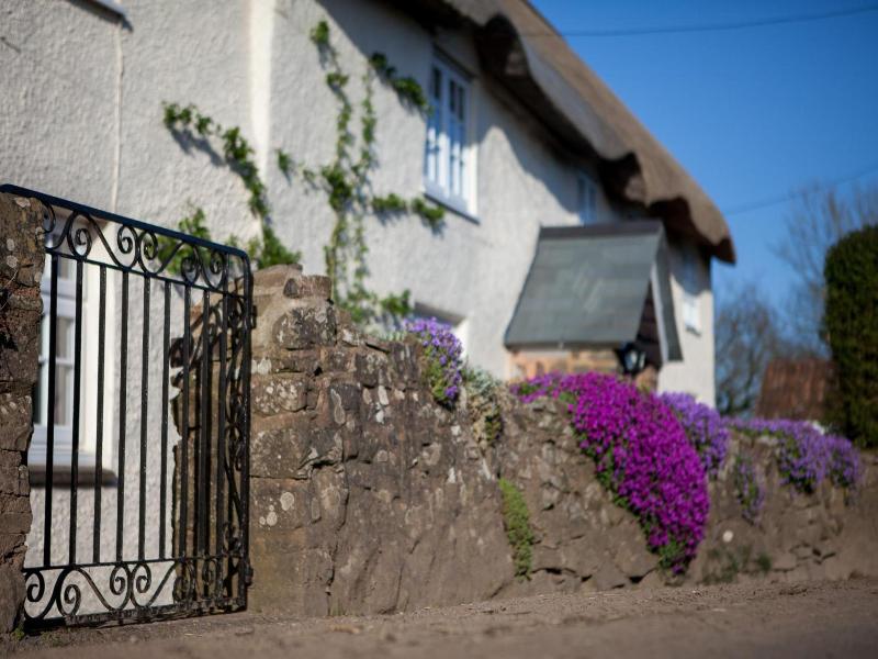 Fernside Cottage image