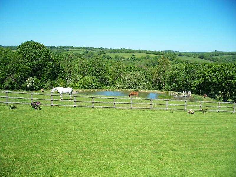 Fernside Cottage image
