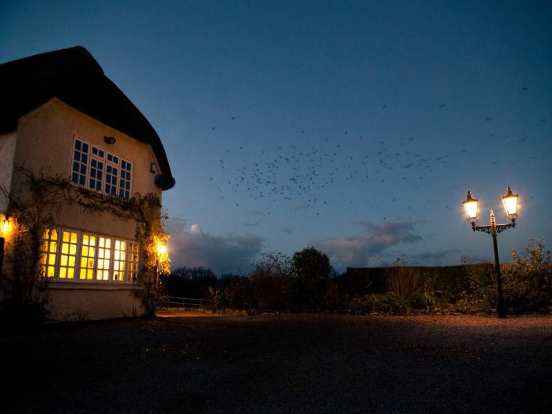 Fernside Cottage image