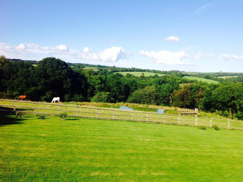 Fernside Cottage image