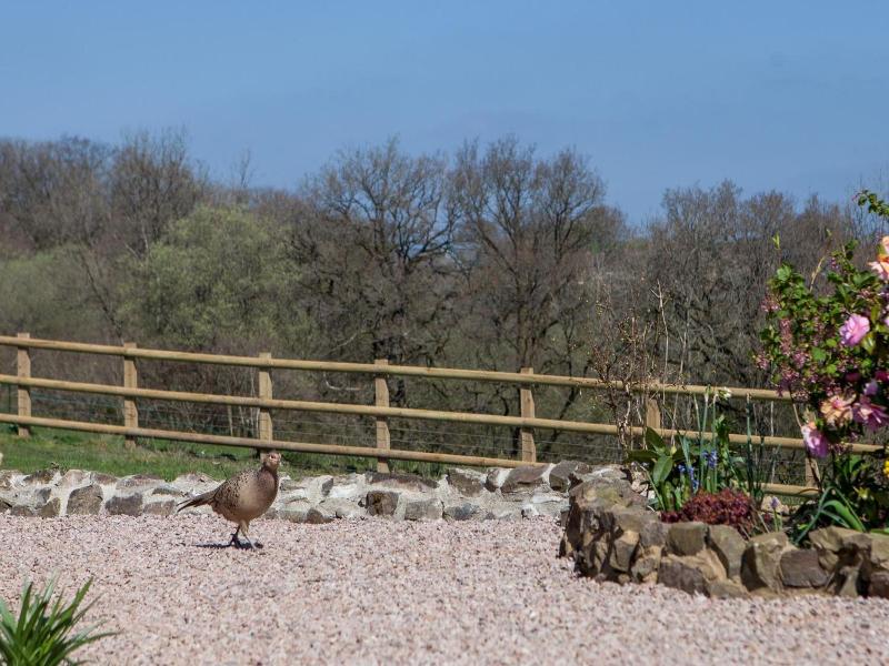 Fernside Cottage image