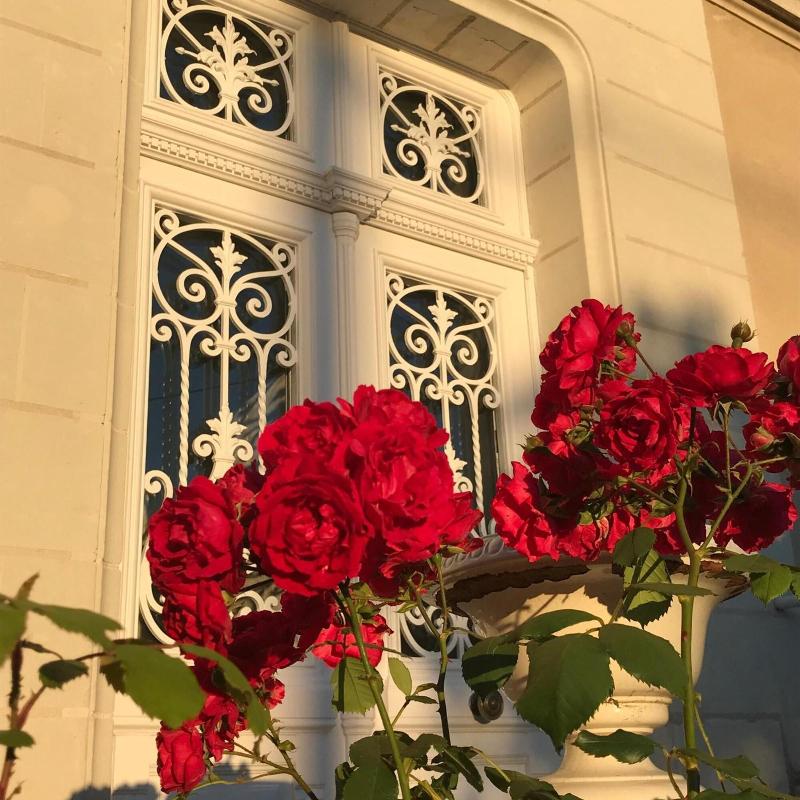 La Maison Leonard image