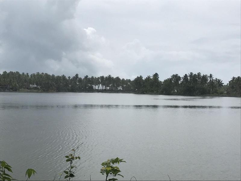 Paradise Lagoon image