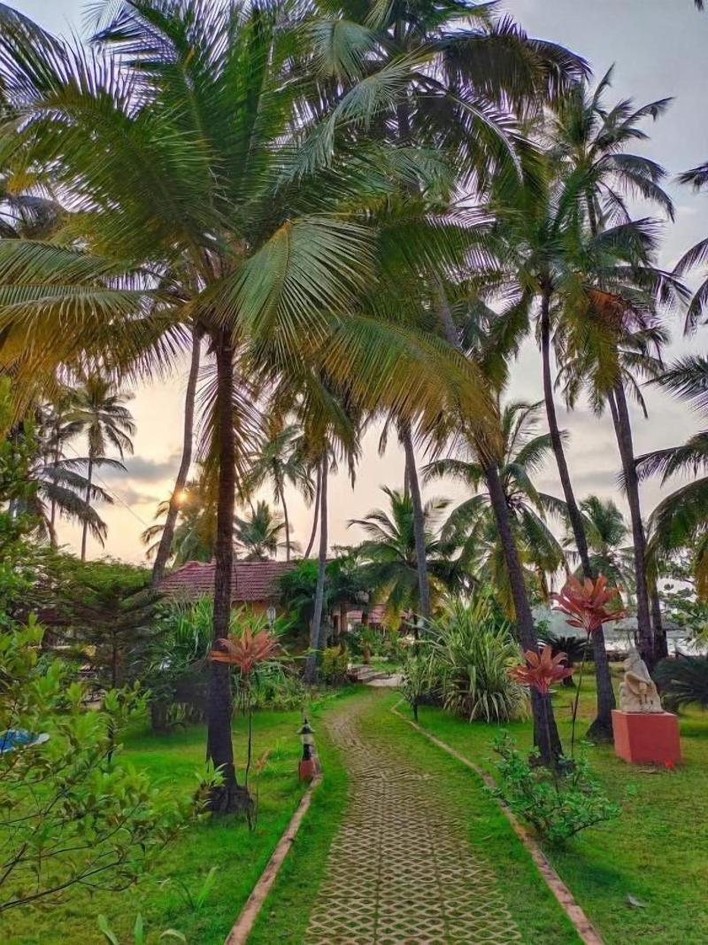 Paradise Lagoon image