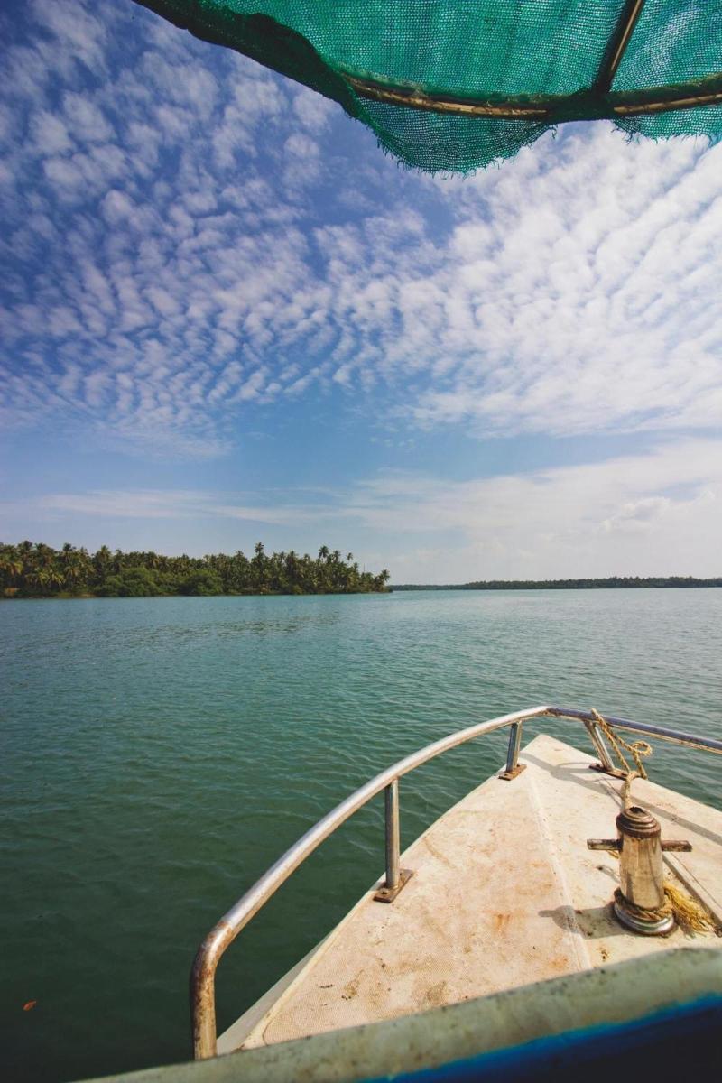 Paradise Lagoon image