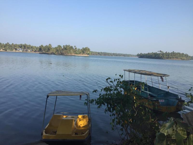 Paradise Lagoon image