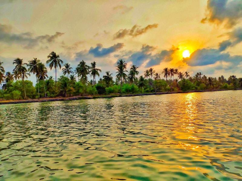 Paradise Lagoon image