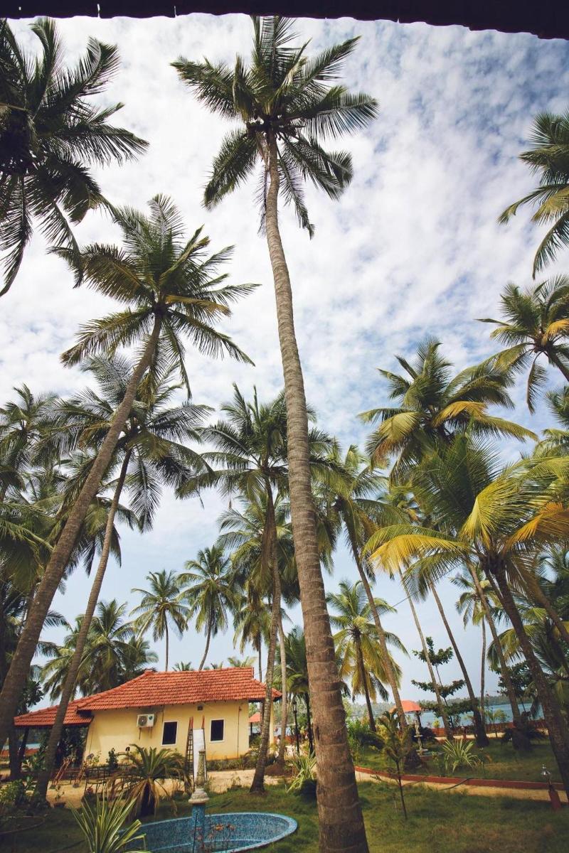 Paradise Lagoon image