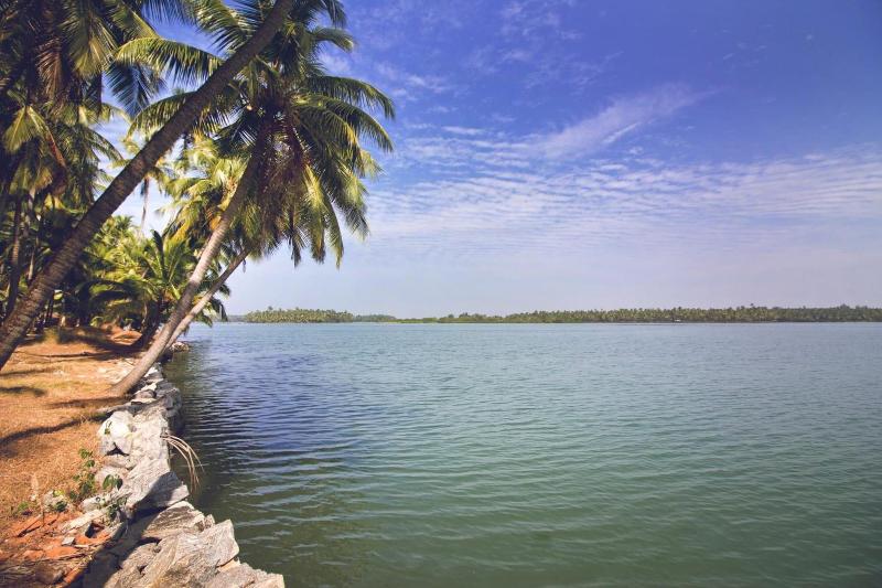 Paradise Lagoon image