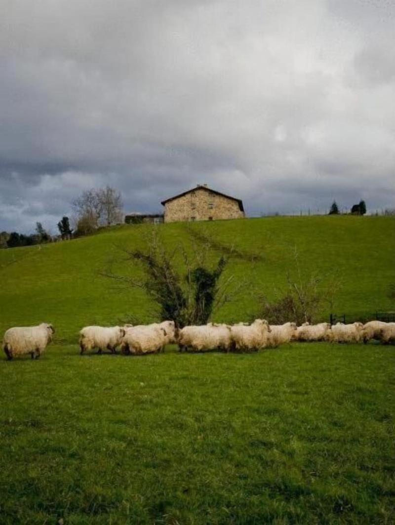 Caserio Iruaritz image