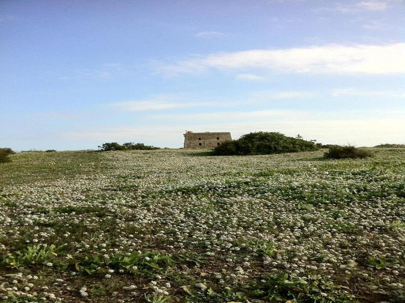 Hotel Boutique Isla De Tabarca image