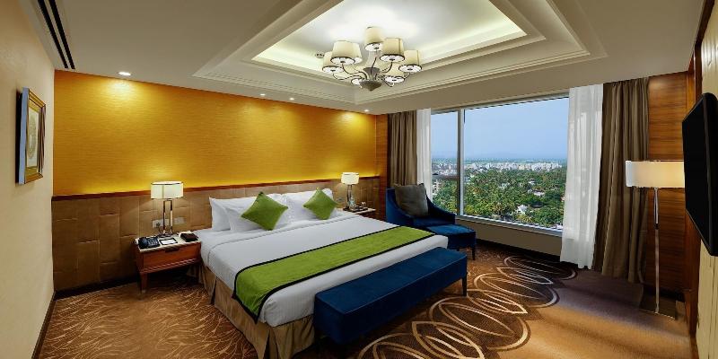 Sayaji Hotel image