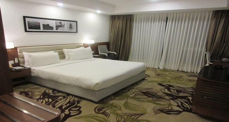 Sayaji Hotel image