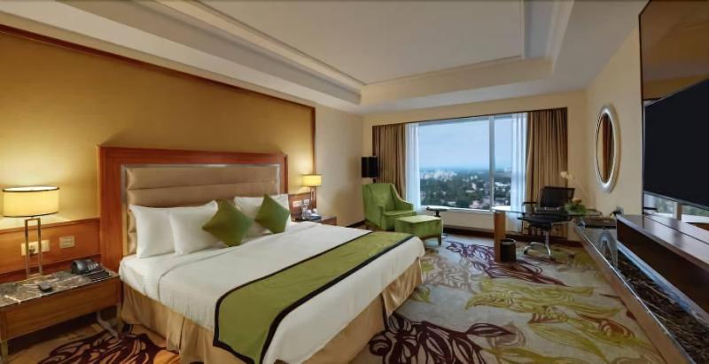 Sayaji Hotel image