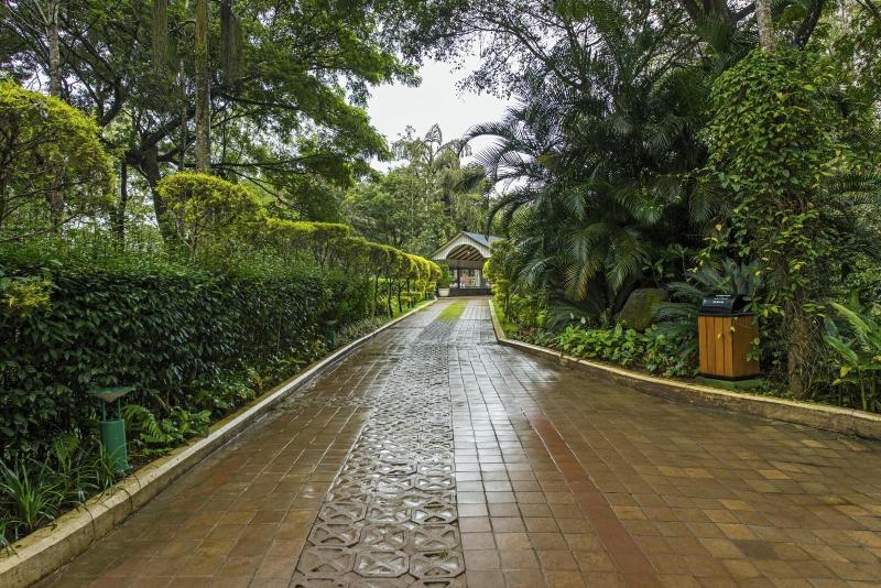 The Windflower Resorts & Spa image