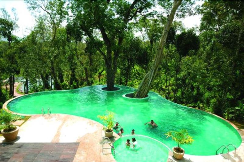The Windflower Resorts & Spa image