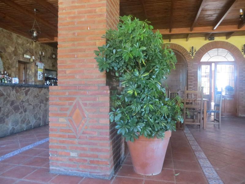 Hostal Restaurante Campo Abierto image