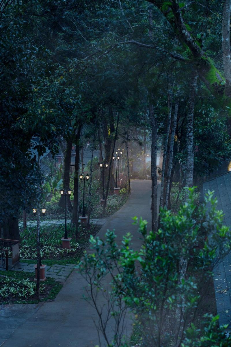Coorg Wilderness Resort image