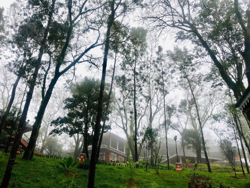 Coorg Wilderness Resort image