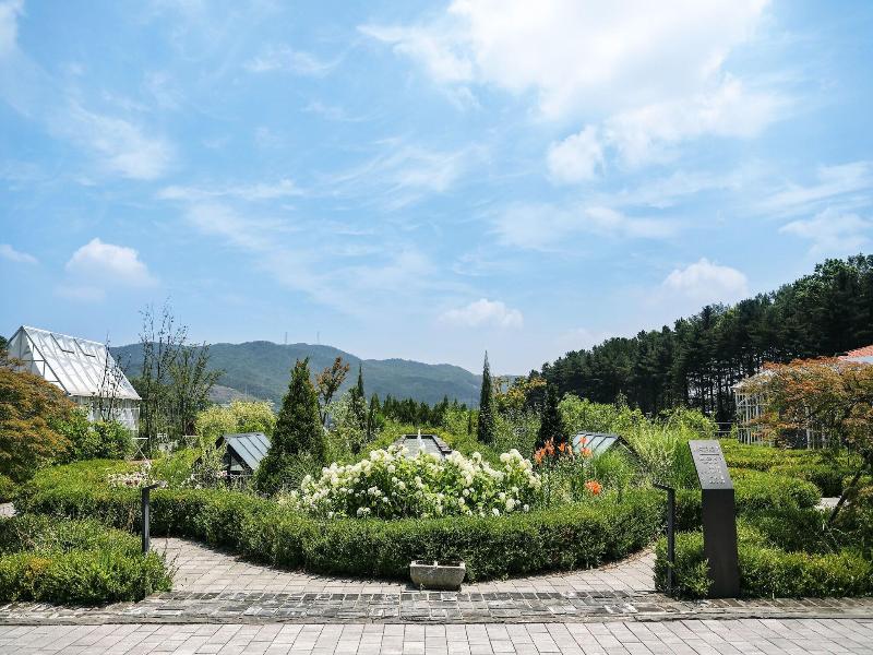 Eden Paradise Hotel image