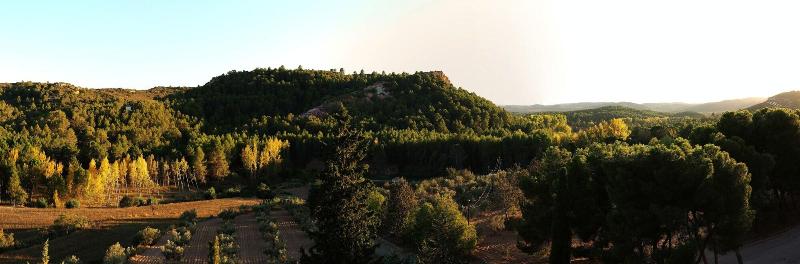 Monasterio El Olivar image