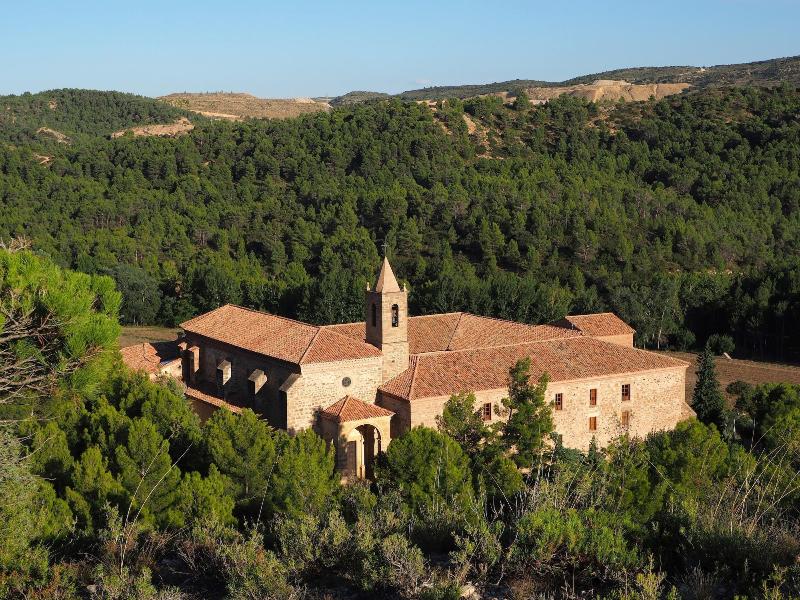 Monasterio El Olivar image