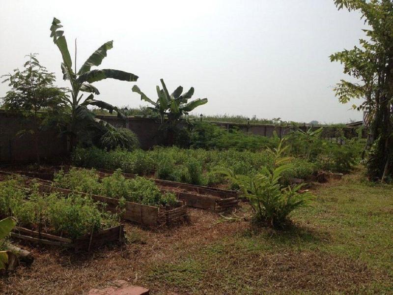 So Herbs At Home image