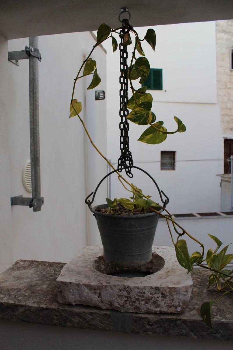 Terracielo Guest House image