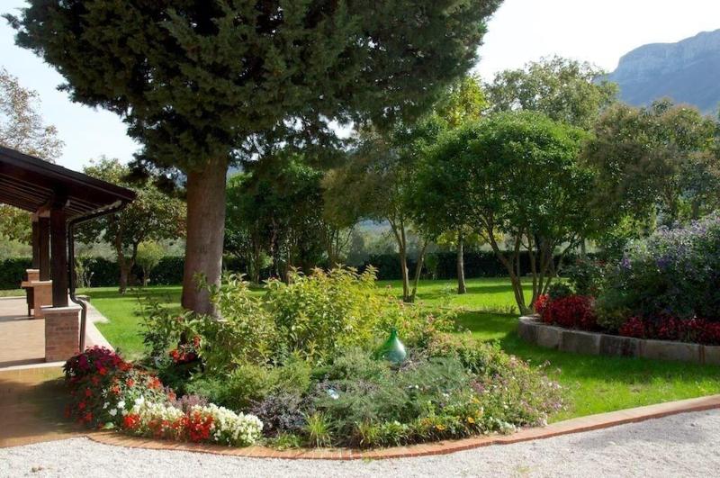 Tenuta Mandia - Agriturismo La Tavernola image