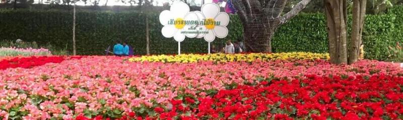 Bann Tawan Hostel & Spa