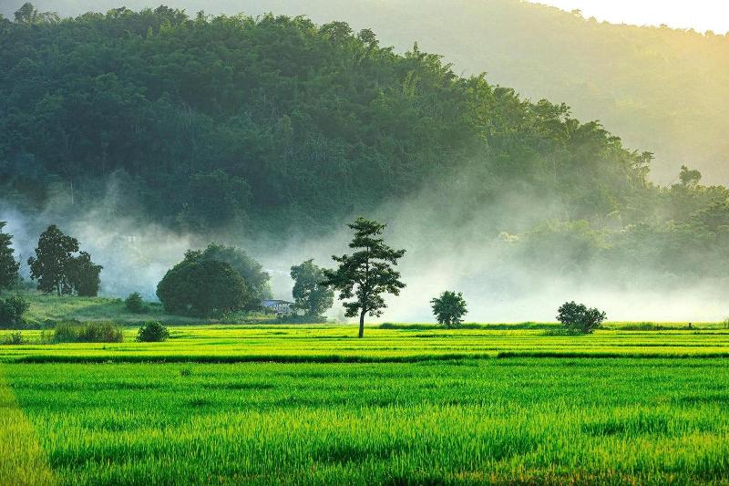 Baan Sin Suk image