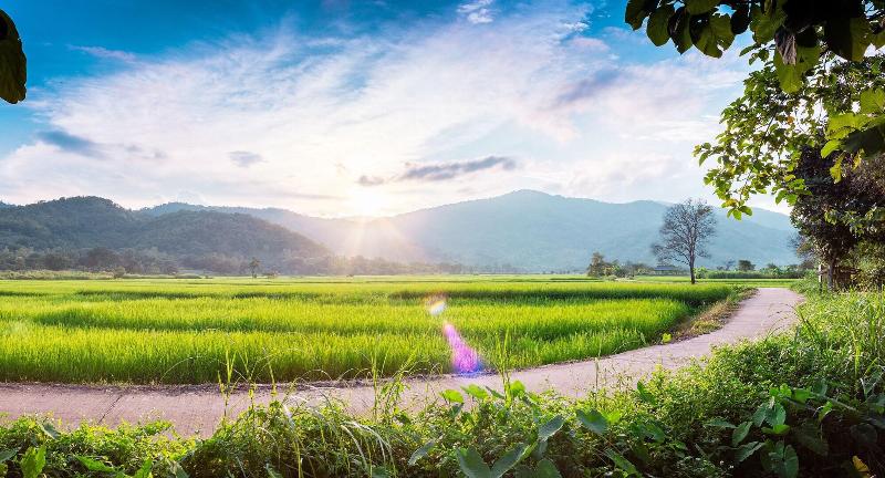 Baan Sin Suk image