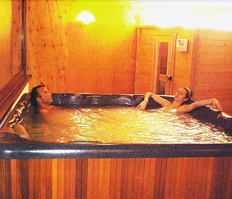 Hotel Des Alpes image