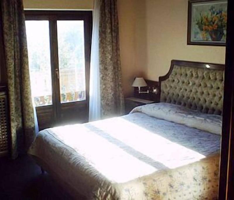 Hotel Des Alpes image