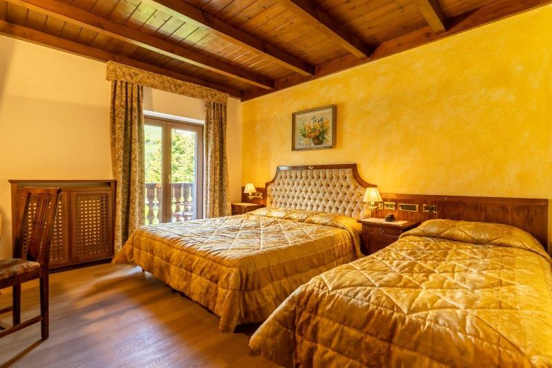 Hotel Des Alpes image