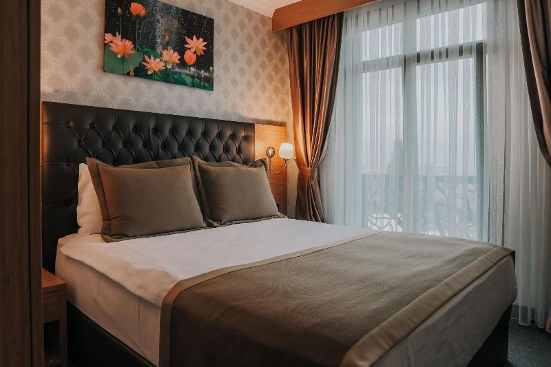 Grand Lark Otel image