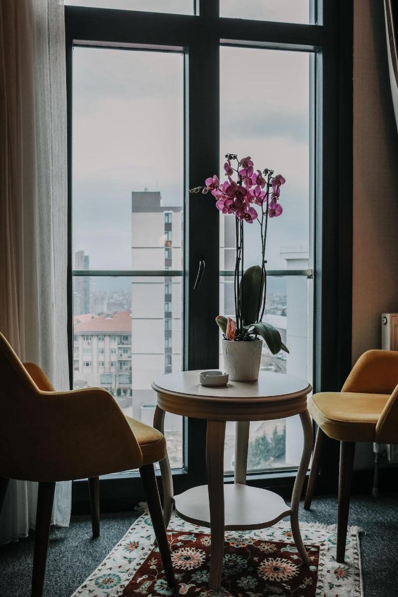 Grand Lark Otel image